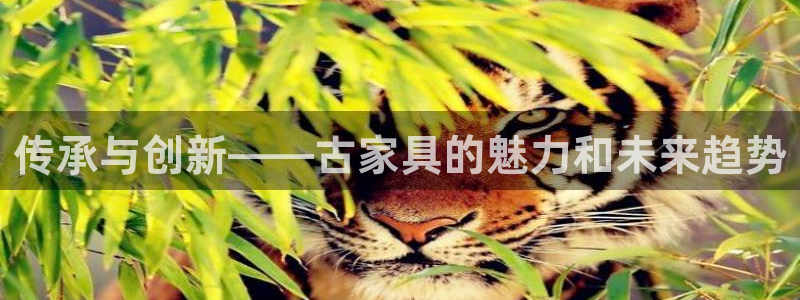 怎么下载先锋娱乐大厅