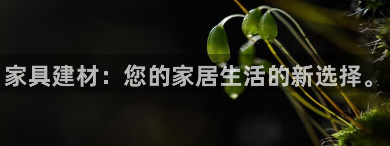 先锋国际娱乐