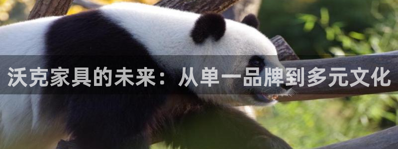 先锋娱乐电子游戏
