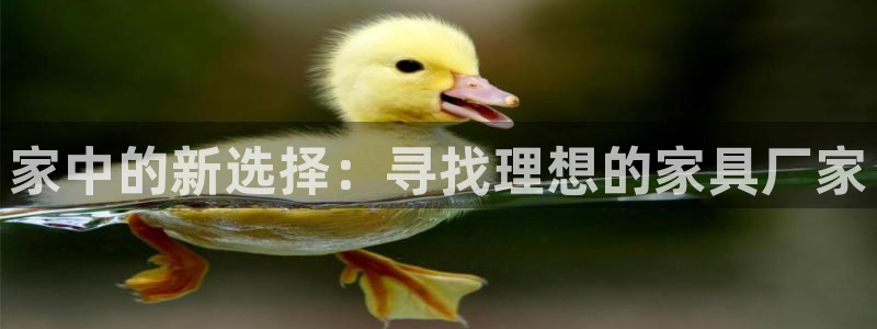 先锋娱乐大厅斗牛