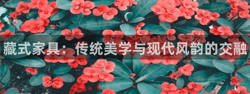 先锋娱乐简介图片