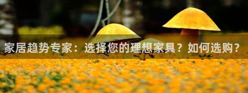 亚洲先锋娱乐招股