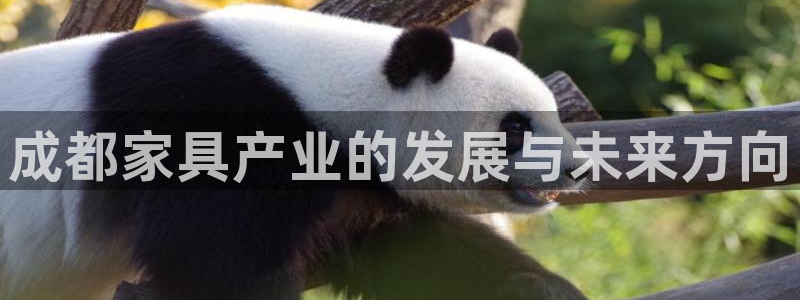 贵州先锋娱乐