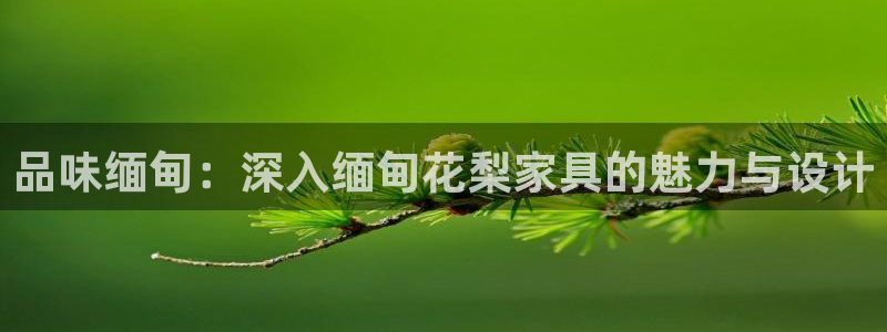 娱乐急先锋李诞甄子丹