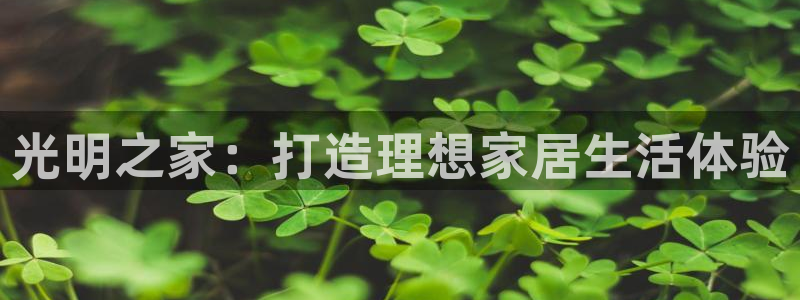先锋娱乐情报