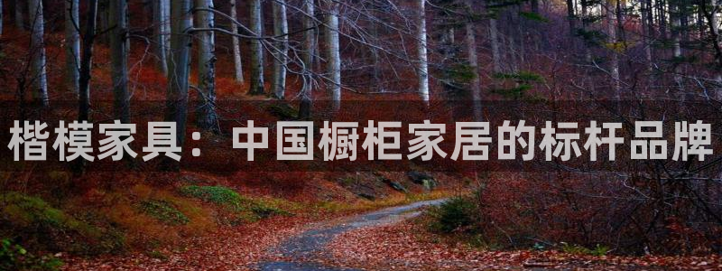 先锋娱乐属于违法吗