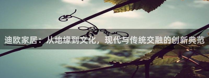 先锋娱乐系统