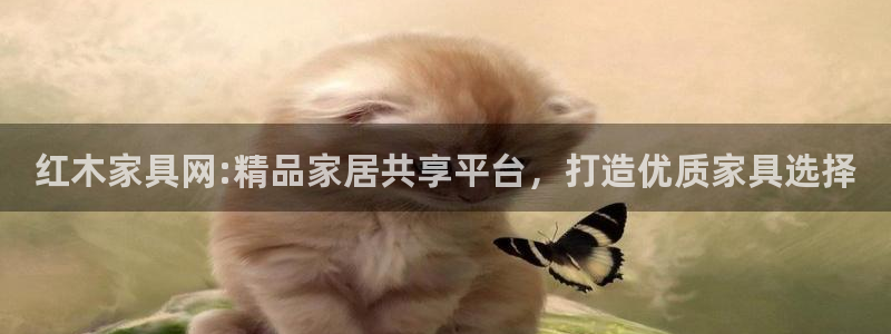 先锋娱乐社