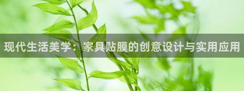 先锋岛娱乐