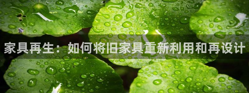 先锋电子旗下先锋娱乐
