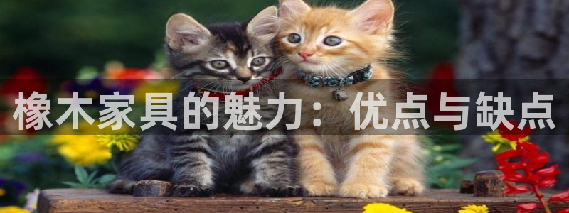 先锋娱乐资讯