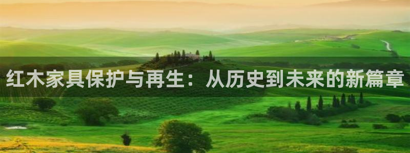 娱乐急先锋全集下载