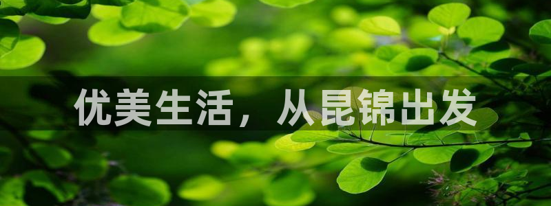 先锋队娱乐