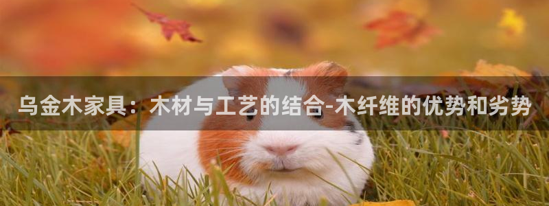 先锋娱乐手机：乌金木家具：木材与工艺的结合-木纤维的优势和劣