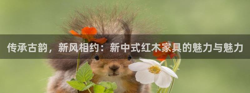 先锋娱乐集团公司