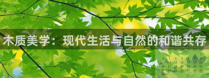 先锋国际娱乐