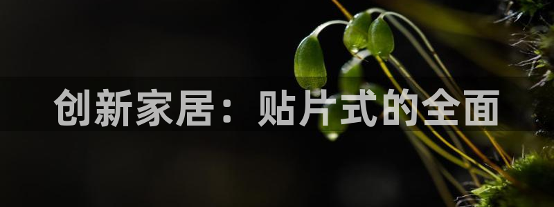 先锋娱乐官网
