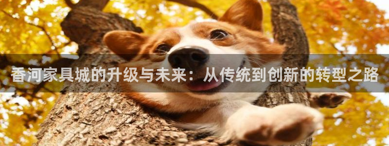 先锋电子旗下先锋娱乐