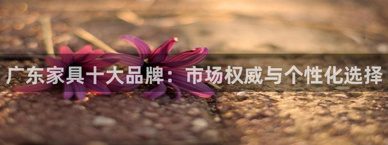 先锋电子车载娱乐系统