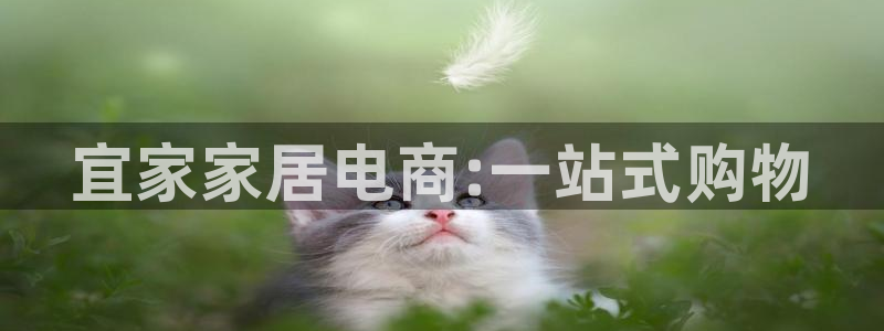 先锋澳门新娱乐