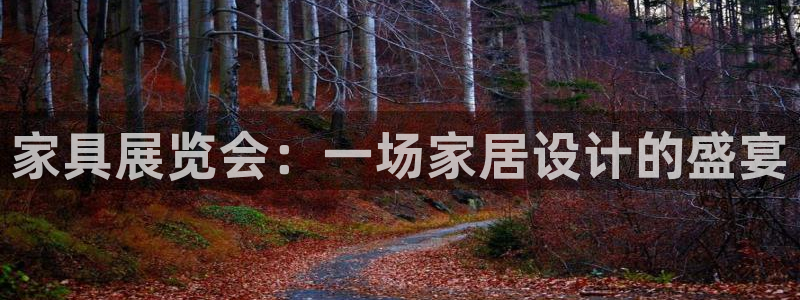 先锋娱乐系统