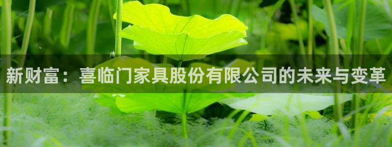 先锋娱乐团