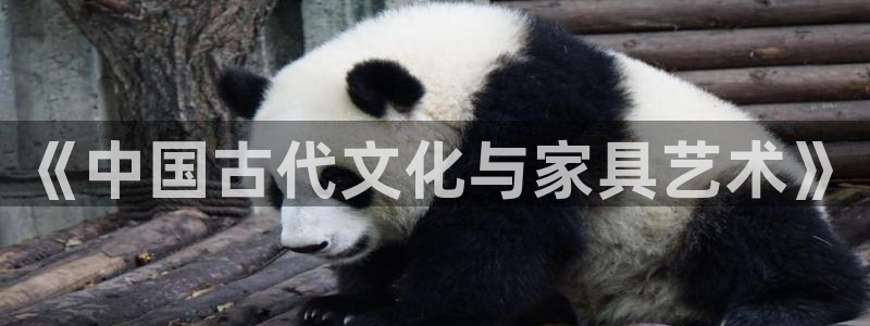 先锋娱乐电子游戏