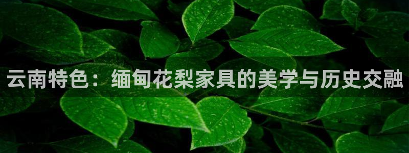 先锋娱乐邀请码多少
