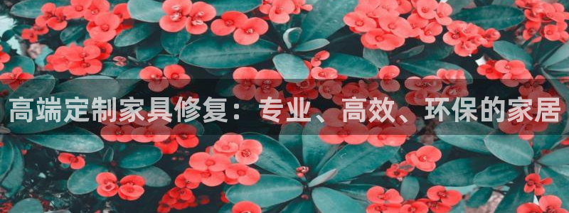 先锋娱乐会所地址：高端定制家具修复：专业、高效、环保的家居